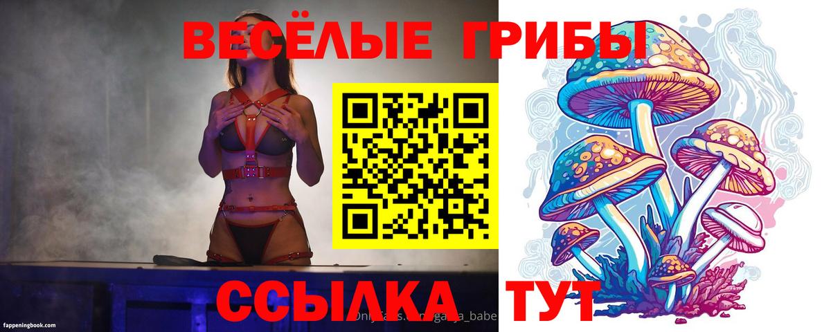 Артёмовский  Галлюциногенные грибы мухоморы  цена наркотик  Вход с VPN 