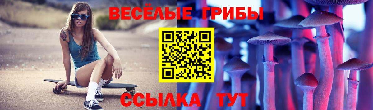 Псилоцибиновые грибы MAGIC MUSHROOMS Артёмовский